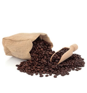 Read more about the article Guide to Jungle Coffee Blends